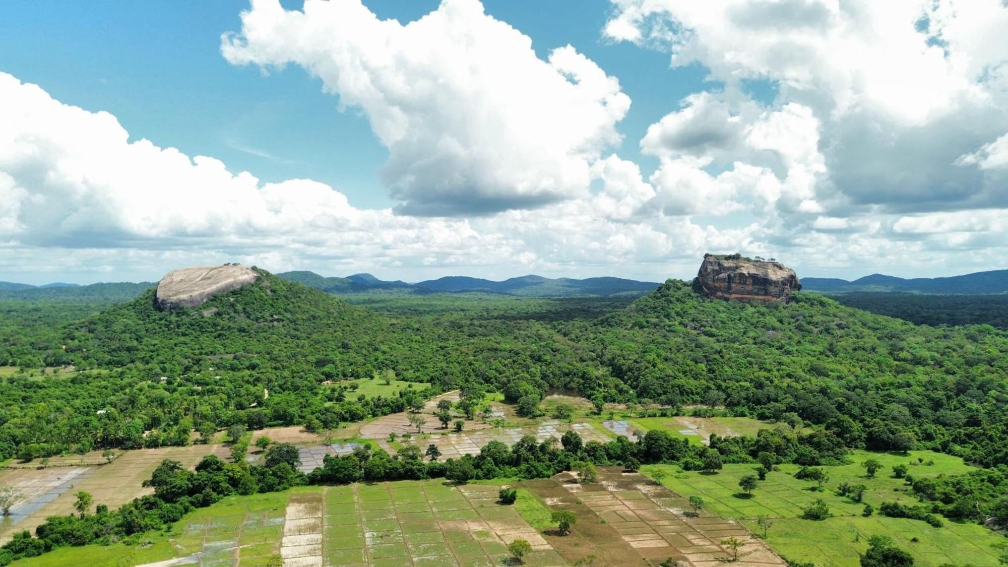 Sigiri Dilu Villa Sigiriya Exterior photo
