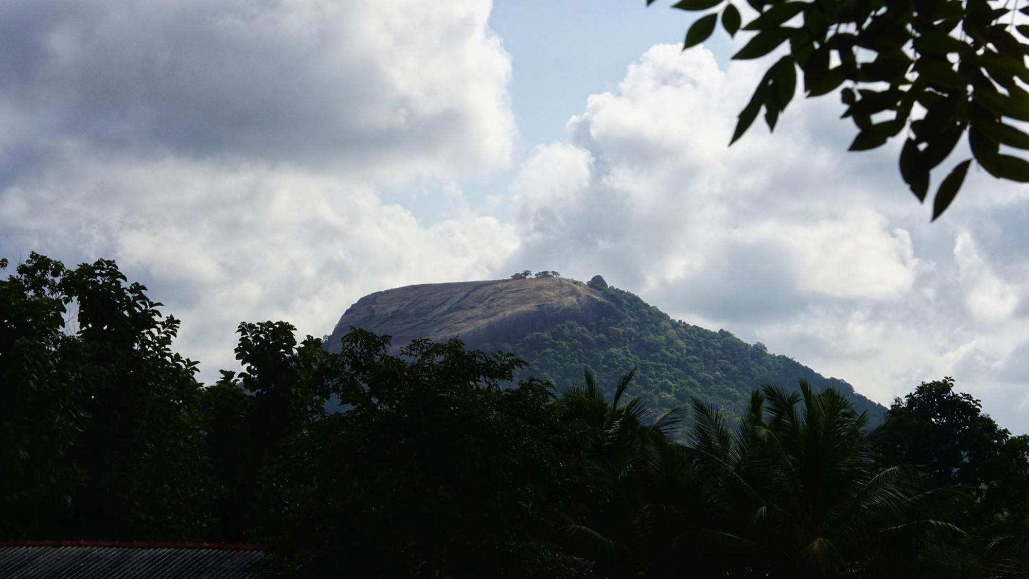 Sigiri Dilu Villa Sigiriya Exterior photo