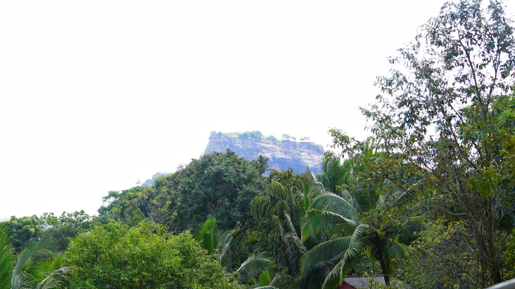 Sigiri Dilu Villa Sigiriya Exterior photo